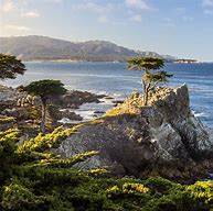 Image result for Lone Cypress Pebble Beach
