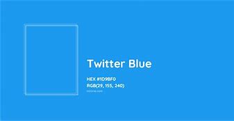 Image result for Twitter Blue Profile