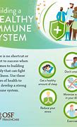 Image result for Immune System Worksheet
