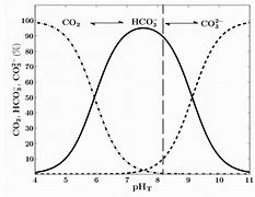Image result for Carbonate Equilibrium