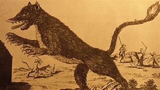 Image result for Enfield Monster Metazoo