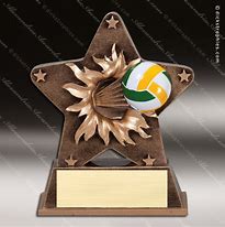 Image result for Volleyball Awards Ideas