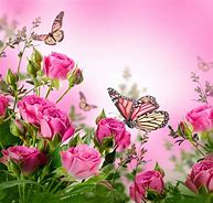 Image result for Floral and Butterfly Background