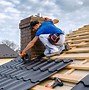 Image result for Paragon Roofing