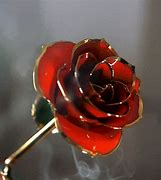 Image result for 24 Karat Rose
