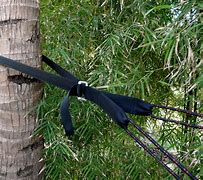 Image result for Cinching Straps