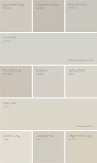 Image result for Light Warm Grey Paint Color