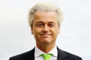 Wilders 的图像结果