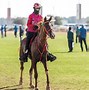 Image result for Celebrities Dubai Horse Race