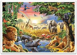 Image result for Different Kinds of Animals for Nursery