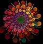 Image result for Colorful Flower Wallpaper