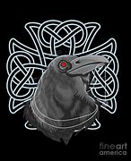 Image result for Raven Norse Mythology