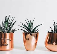 Image result for Beautiful Rose Gold Wallpaper
