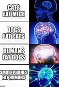 Image result for Human Cat Meme