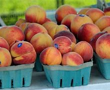 Image result for Georgia State Fruit Peach