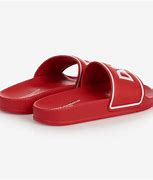 Image result for Sparky Chanclas