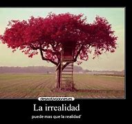 Image result for irrealidad