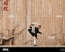 Image result for Taoist Tai Chi