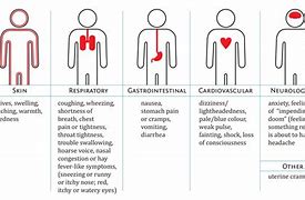 Image result for Allergic Reaction to Augmentin Rash