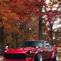 Image result for Pink Tree JDM