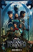 Image result for Wakanda Cast