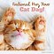 Image result for Funny Hug Your Cat Day