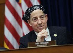 Image result for Jamie Raskin Young
