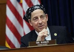 Image result for Raskin Congressman Bandana