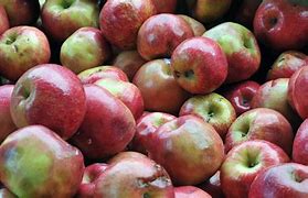 Image result for Apple Items