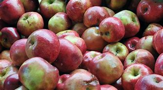 Image result for Cherry Hill Apple