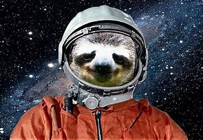 Image result for Sloth Astronaut Poster