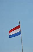 Image result for Pepsi and Dutch Flag Meme