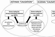 Image result for Environmental Allergies Infographic