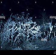 Image result for Frozen Winterfield Night