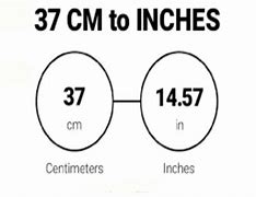 Image result for 37 Cm to Inches