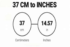 Image result for 37 Cm to Inches