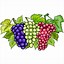 Image result for Grapes Fruit Cartoon