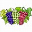 Image result for Grapes Fruit Cartoon