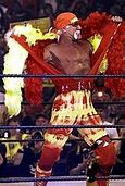 Image result for WWE Wrestling Hulk Hogan