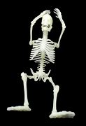 Image result for Spooky Scary Skeletons Meme