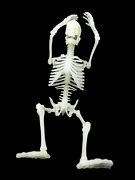 Image result for Vintage Halloween Skeleton Clip Art