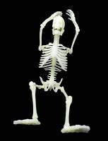 Image result for Halloween Skeleton Ideas