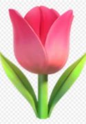 Image result for Tulips Flowers Emoji White