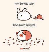 Image result for Bunny Poop Memes