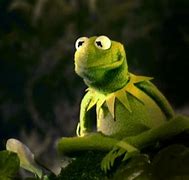 Image result for Kermit the Frog Death