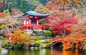 Image result for Japan Tourist Places