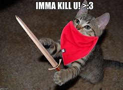 Image result for Cat Cult Meme