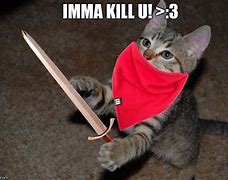 Image result for Cat Evil Human Meme