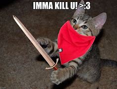 Image result for Spooky Cat Meme