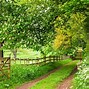 Image result for Rural Areas in England
